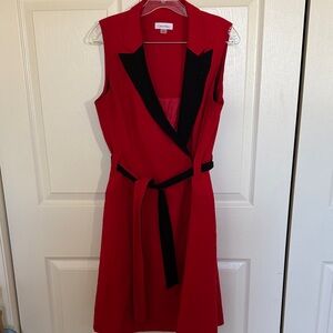 Calvin Klein Red and Black Mini Dress